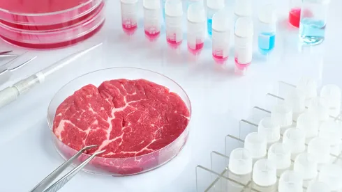 Lab-Grown Meat Edges Toward the Mainstream as Costs Fall and Markets Expand