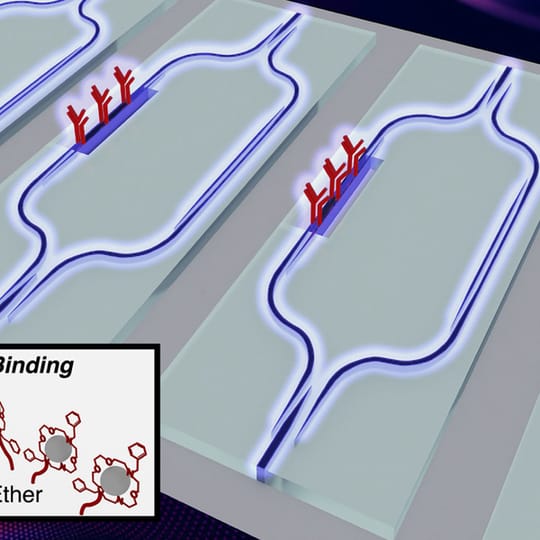 Recent Development of Sensors to Detect Lead Contamination