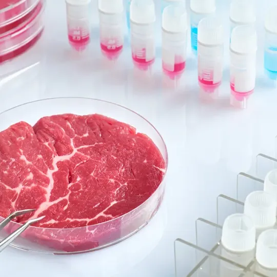 Lab-Grown Meat Edges Toward the Mainstream as Costs Fall and Markets Expand